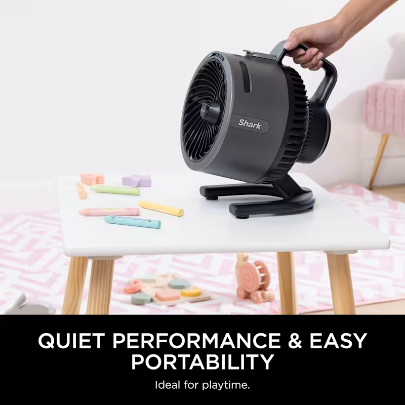 FlexBreeze HydroGo Misting Fan & Travel Bag