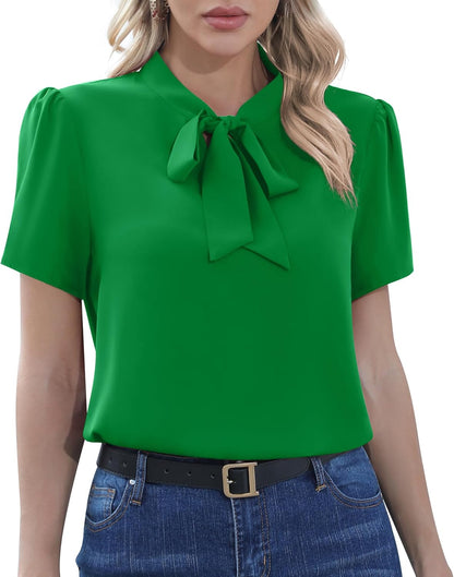CZYINXIAN Womens Dressy Chiffon Blouse Business Work Casual Tie Neck Shirt Tops