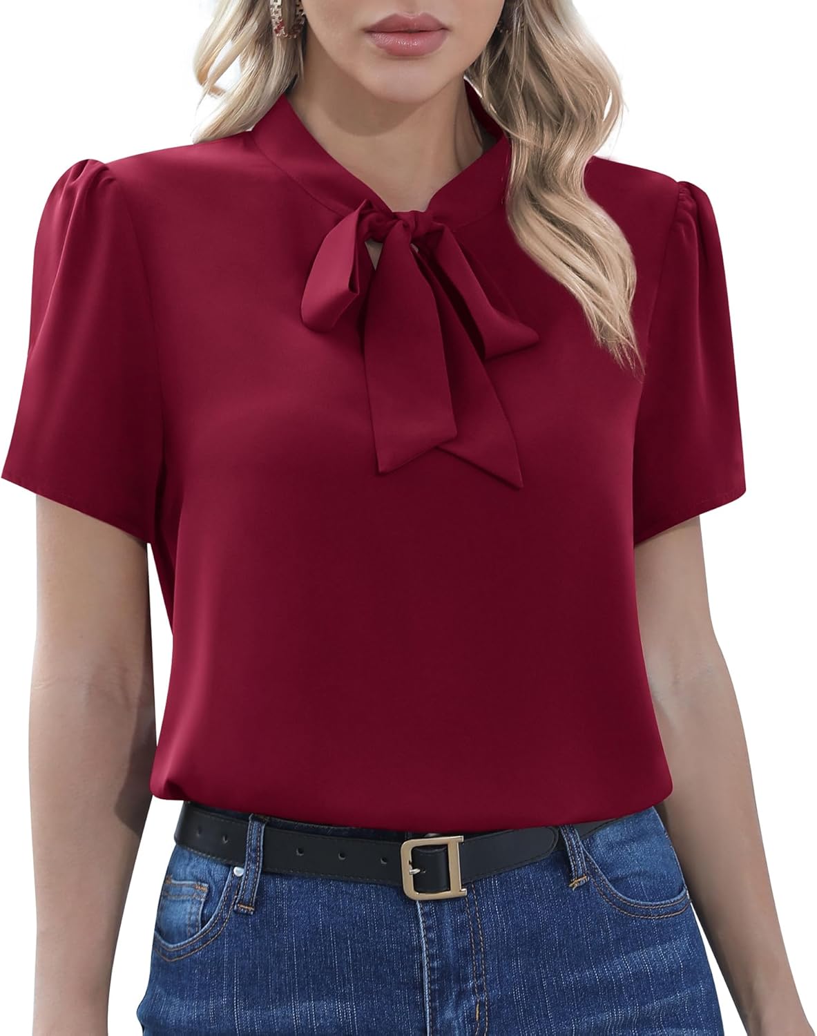 CZYINXIAN Womens Dressy Chiffon Blouse Business Work Casual Tie Neck Shirt Tops