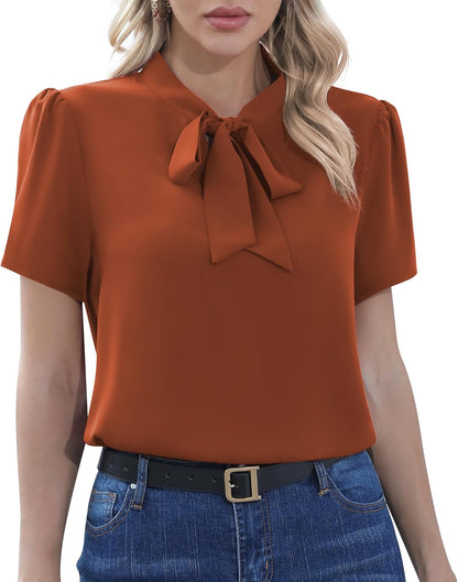CZYINXIAN Womens Dressy Chiffon Blouse Business Work Casual Tie Neck Shirt Tops