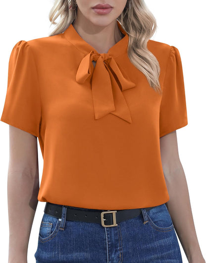 CZYINXIAN Womens Dressy Chiffon Blouse Business Work Casual Tie Neck Shirt Tops