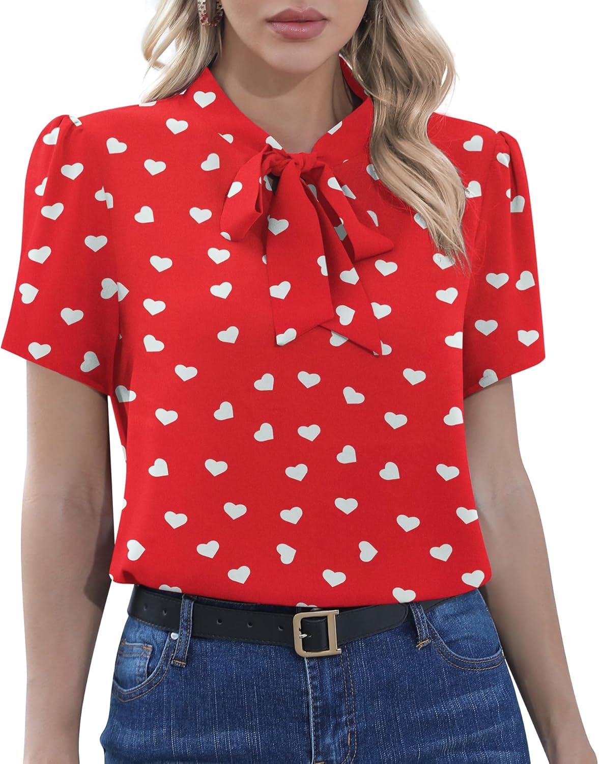 CZYINXIAN Womens Dressy Chiffon Blouse Business Work Casual Tie Neck Shirt Tops