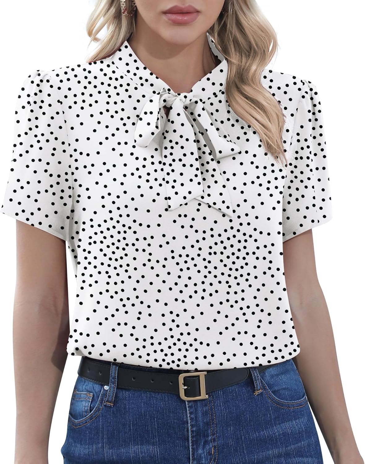 CZYINXIAN Womens Dressy Chiffon Blouse Business Work Casual Tie Neck Shirt Tops