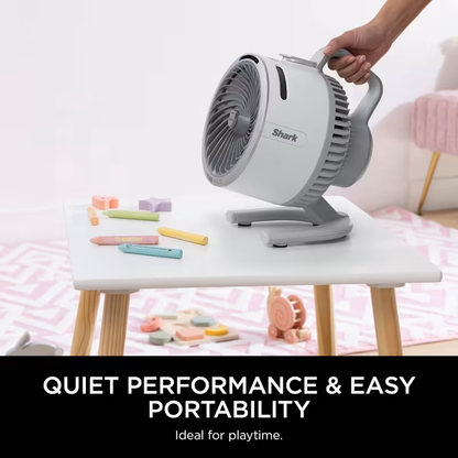 FlexBreeze HydroGo Misting Fan & Travel Bag